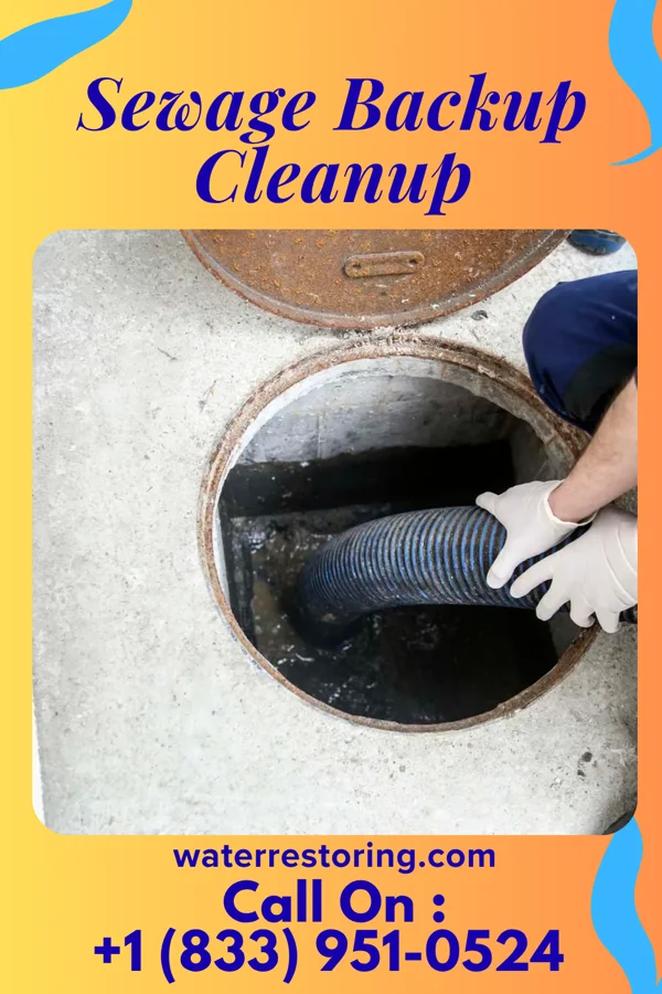 Sewage Backup Cleanup in Malden, WV