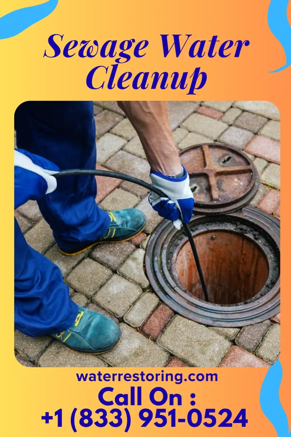 Sewage Water Cleanup in Malden, WV