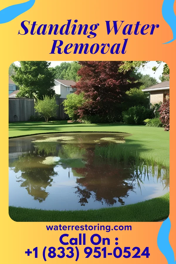 Standing Water Removal in Malden, WV